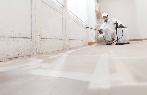 24/7 Emergency Mold Cleanup experts in Lafayette, OR